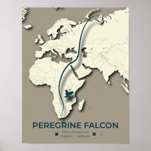 Peregrine Falcon Migration Map – Minimalist ポスター (正面)