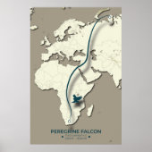Peregrine Falcon Migration Map – Minimalist ポスター (正面)