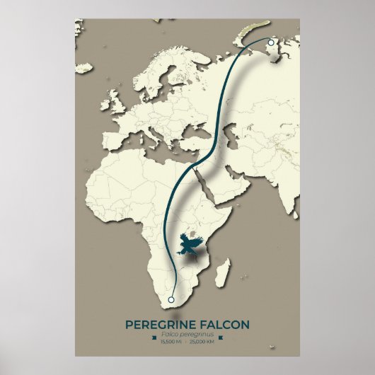 Peregrine Falcon Migration Map – Minimalist ポスター (正面)