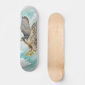 Peregrine falcon  Skateboard スケートボード (正面)