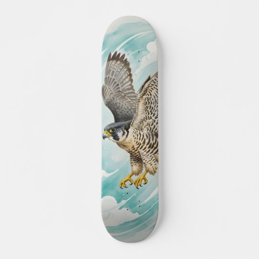 Peregrine falcon  Skateboard スケートボード (正面)