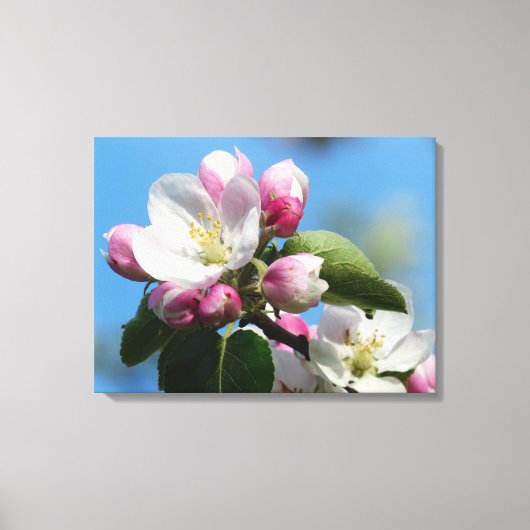 Perfect Apple Blossom WrappedCanvas (Gloss) キャンバスプリント (正面)