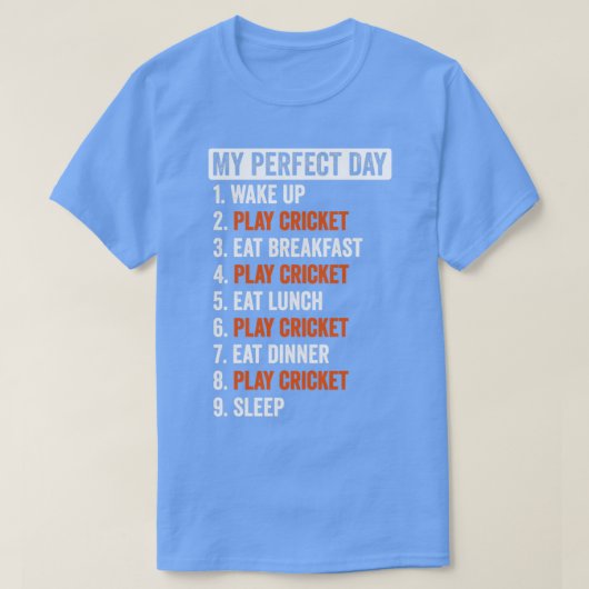 Perfect Day Cricket Gives 男性へ Women Tシャツ (デザイン正面)