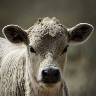 Perfect fit for after that perfect filling feeding ベビーボディスーツ