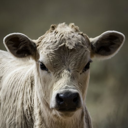 Perfect fit for after that perfect filling feeding ベビーボディスーツ