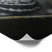 Perfect Pigeon Print ポスター (角)
