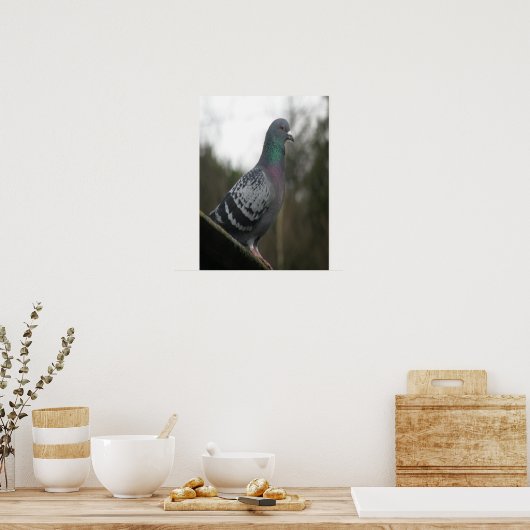 Perfect Pigeon Print ポスター (キッチン)