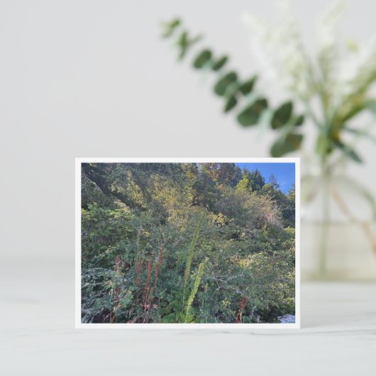 Perfect weather ポストカード (スタンド正面)