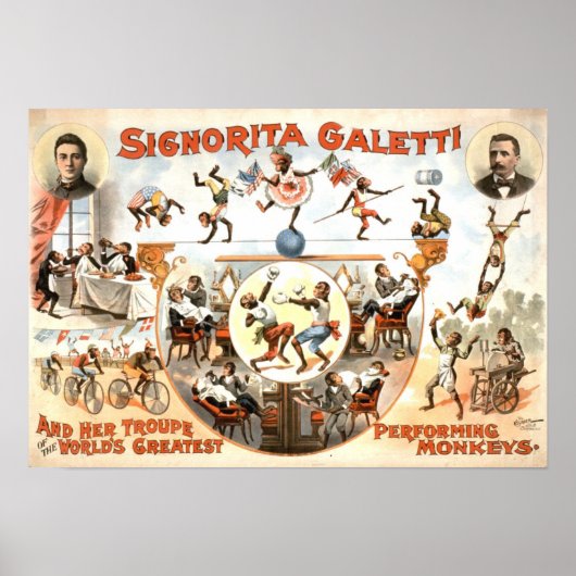 Performing Monkeys Vintage Poster ポスター (正面)