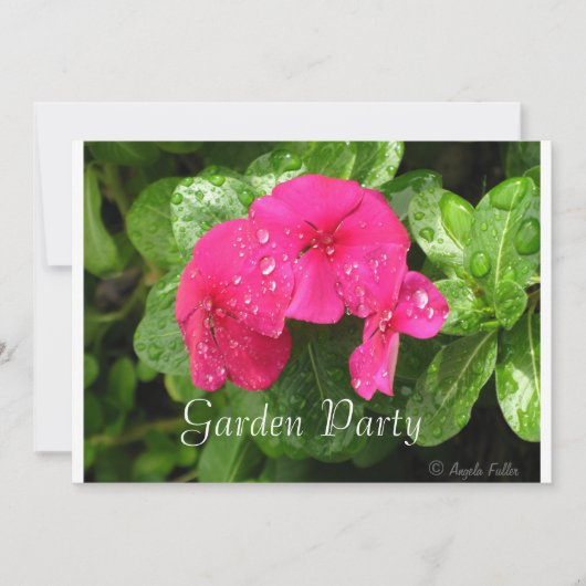 Periwinkleガーデンパーティの招待状 招待状 (正面)