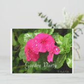 Periwinkleガーデンパーティの招待状 招待状 (スタンド正面)