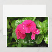 Periwinkleガーデンパーティの招待状 招待状 (正面/裏面)