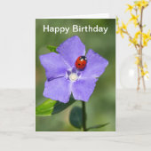 Periwinkle誕生日カード カード (黄色い花)