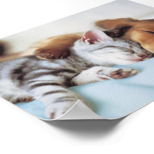 perro y gato ポスター (角)