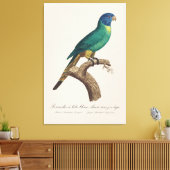 Perruche a tete bleue / Rainbow lorikeet，少年 キャンバスプリント (インサイチュ (リビング))