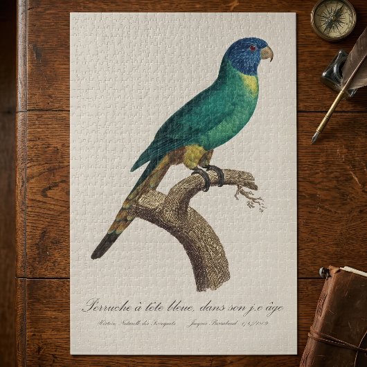 Perruche a tete bleue / Rainbow lorikeet,少年 ジグソーパズル