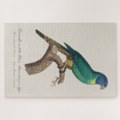 Perruche a tete bleue / Rainbow lorikeet,少年 ジグソーパズル (横)