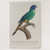 Perruche a tete bleue / Rainbow lorikeet,少年 ジグソーパズル (縦)