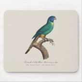 Perruche a tete bleue / Rainbow lorikeet，少年 マウスパッド (正面)