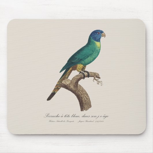 Perruche a tete bleue / Rainbow lorikeet，少年 マウスパッド (正面)