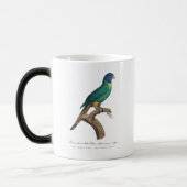 Perruche a tete bleue / Rainbow lorikeet，少年 モーフィングマグカップ (左)