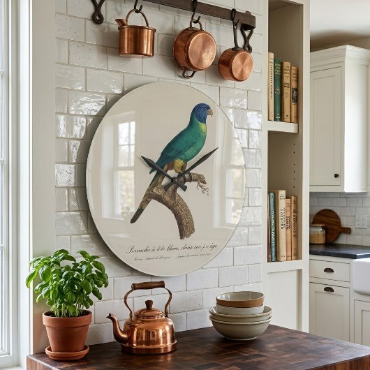Perruche a tete bleue / Rainbow lorikeet，少年 ラージ壁時計