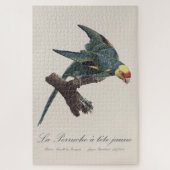 Perruche a Tete Jaune/カロライナ・パレーケ ジグソーパズル (縦)