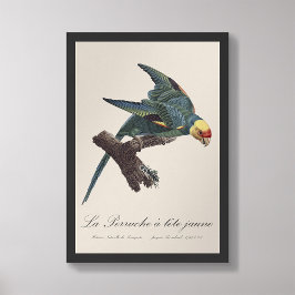 Perruche a Tete Jaune/カロライナ・パレーケ フォトプリント