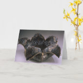 persephone カード (黄色い花)