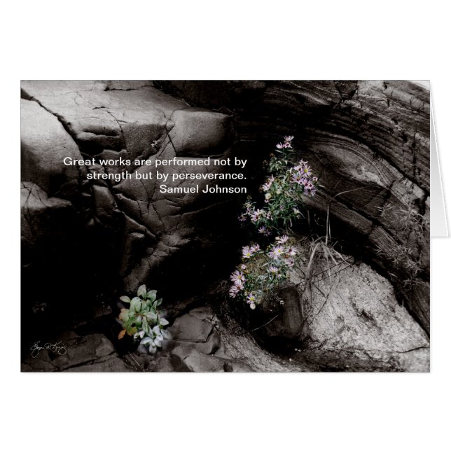 Perserverance Card, Wild Aster on the Pemigewasset (正面横)