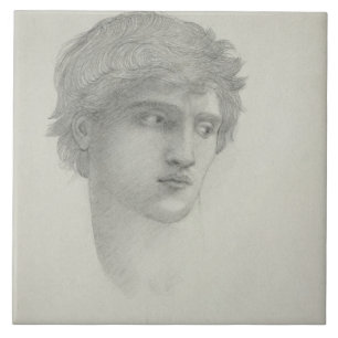 Perseus (紙の鉛筆)の頭部のための勉強 タイル