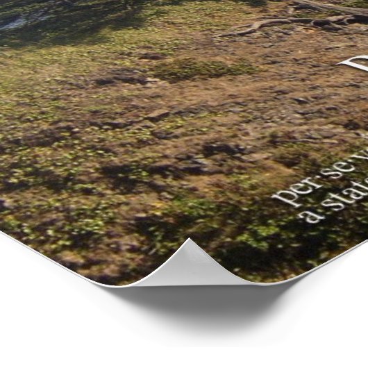 Perseverance ポスター (角)