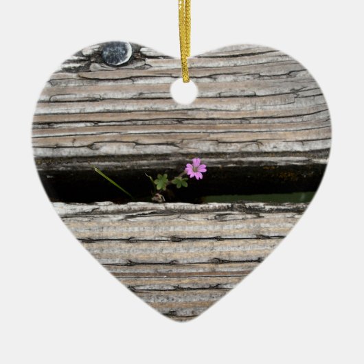 Perseverence セラミックオーナメント (正面)