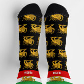Persia Socks, Persian flag with Lion /Shah of Iran ソックス (上部)