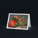 Persimmon Fruit Portrait カード<br><div class="desc">Persimmon Fruit Portrait Greeting Card. You can easily customize this product for free if you would like to add wording or change the color of the background.</div>