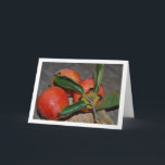 Persimmon Fruit Portrait カード<br><div class="desc">Persimmon Fruit Portrait Greeting Card. You can easily customize this product for free if you would like to add wording or change the color of the background.</div>