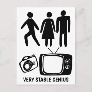 PERSON WOMAN CAMERA TV Stable Genius ポストカード