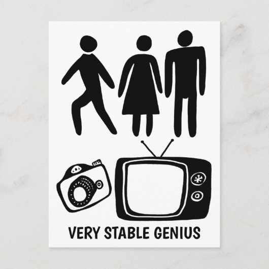 PERSON WOMAN CAMERA TV Stable Genius ポストカード (正面)