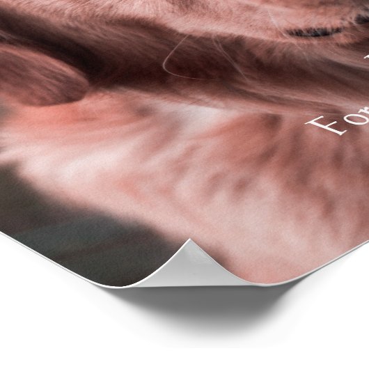 Personal Photo Pet Memorial Keepsake ポスター (角)