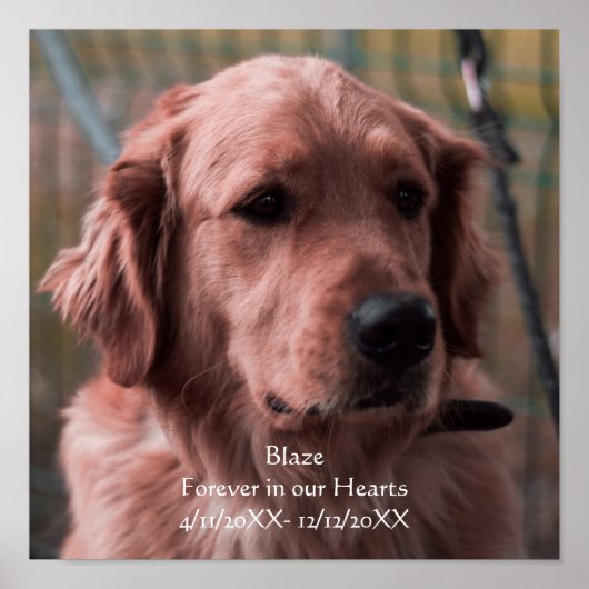 Personal Photo Pet Memorial Keepsake ポスター (正面)