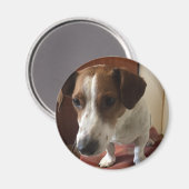 Personalisiert Magnete マグネット (正面/裏面)