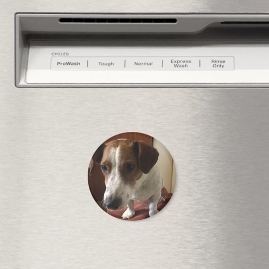 Personalisiert Magnete マグネット (インサイチュ (食洗機))