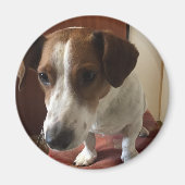 Personalisiert Magnete マグネット (正面)