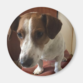 Personalisiert Magnete マグネット