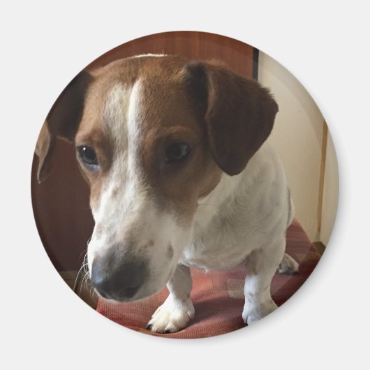 Personalisiert Magnete マグネット (正面)