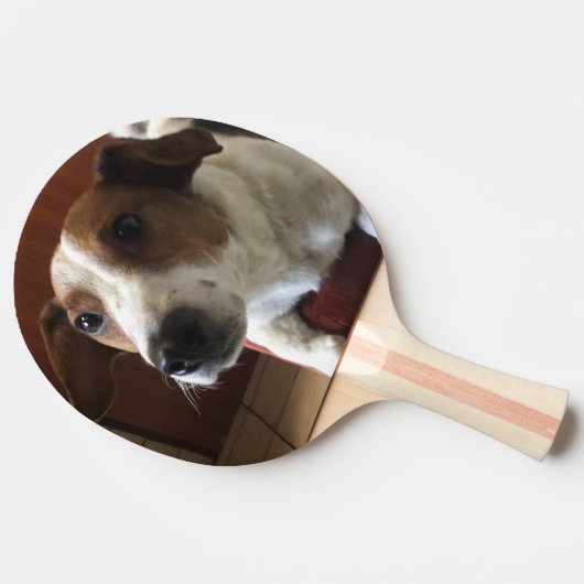 personalisierter 卓球ラケット (横)