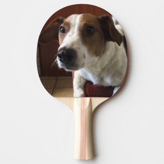 personalisierter 卓球ラケット (正面)