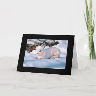 Personalizableの休日カード白のバニー シーズンカード