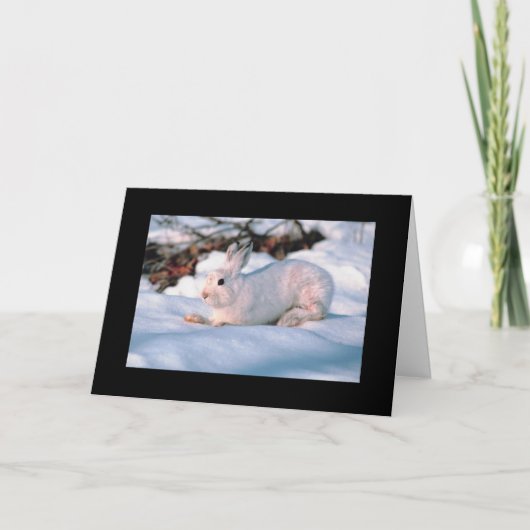 Personalizableの休日カード白のバニー シーズンカード (正面)