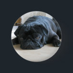 Personalize cute black Pug Puppy accessories name 缶バッジ<br><div class="desc">Pugs are very popular lapdogs and family pets. Featured here are many adorable Pug photo and illustration gifts, accessories and room decor items. All of them can be customized with the Pug's name or the Pug owners name. They make wonderful keepsake gifts and Pug owners will love them. There are...</div>
